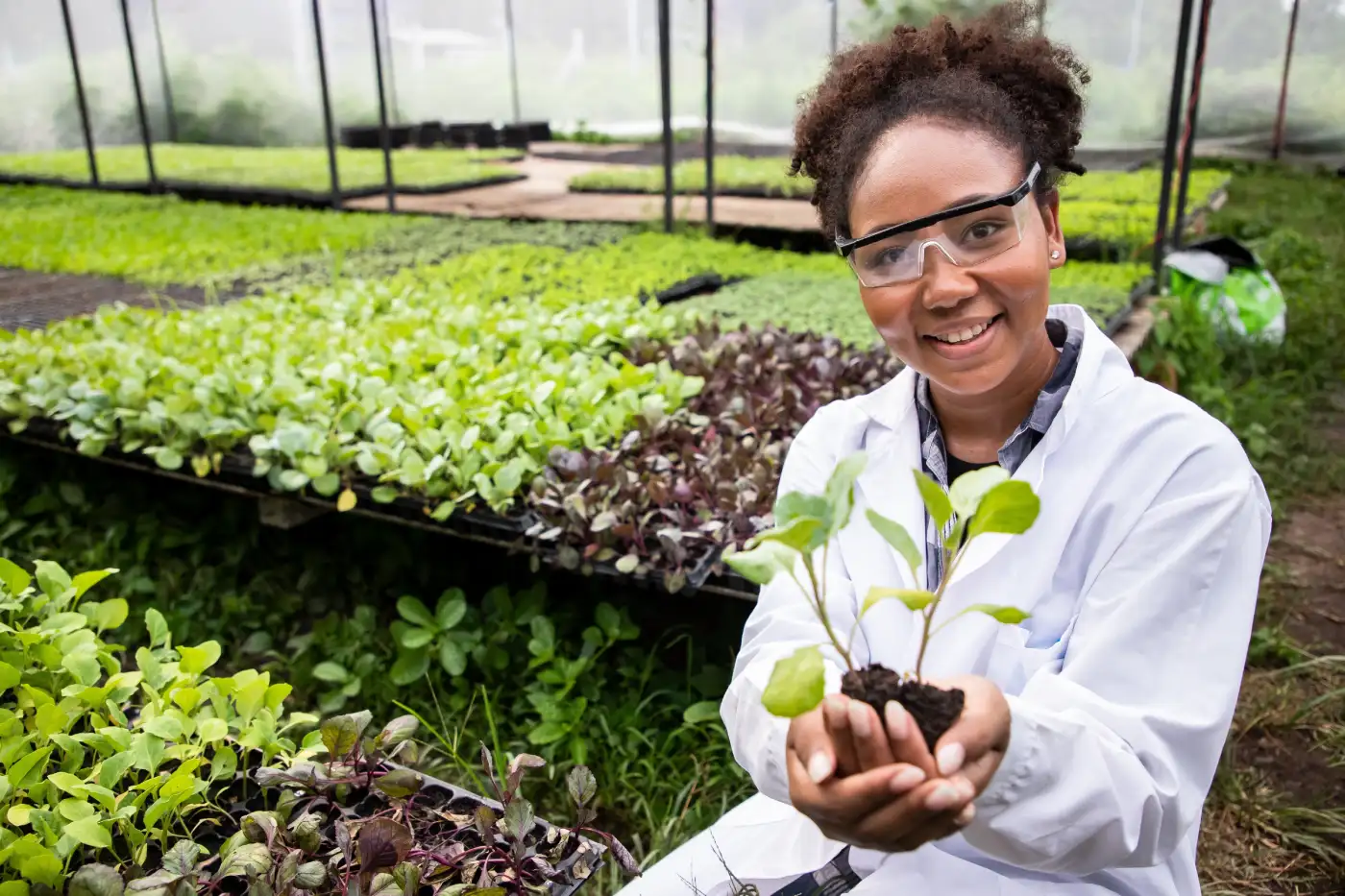 A woman holding a plant in her hands.