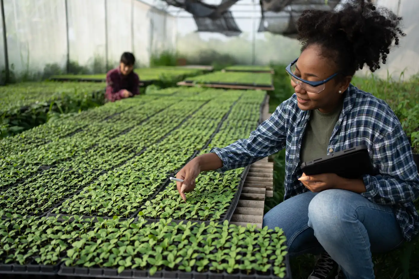 A woman in glasses is looking at plants.