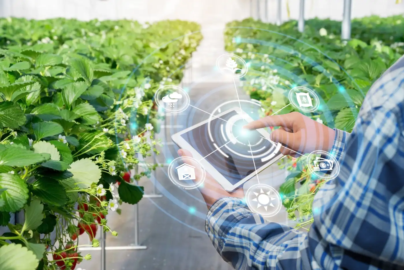 A person holding an ipad in front of plants.